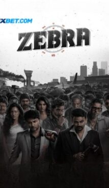 Zebra Hindi Dubbed Movie Download CAMRip || 300Mb || 720p || 1080p
